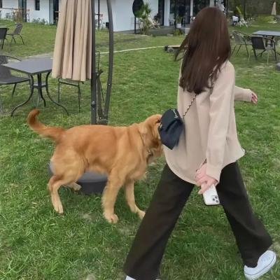 风光大嫁